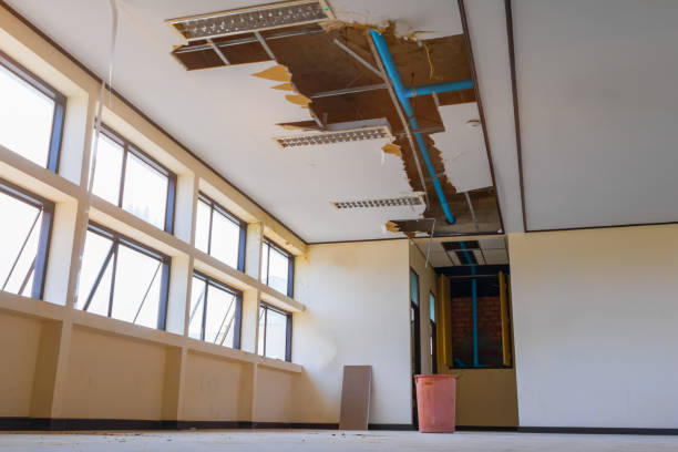 Best Carpet water damage restoration  in Greenfield, TN