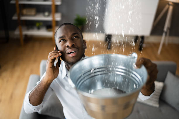 Best Professional water damage repair  in Greenfield, TN