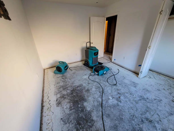 Best Sewage cleanup and water damage restoration  in Greenfield, TN