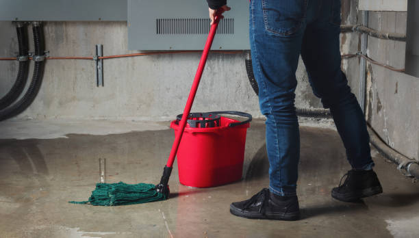 Best 24-hour water damage restoration  in Greenfield, TN