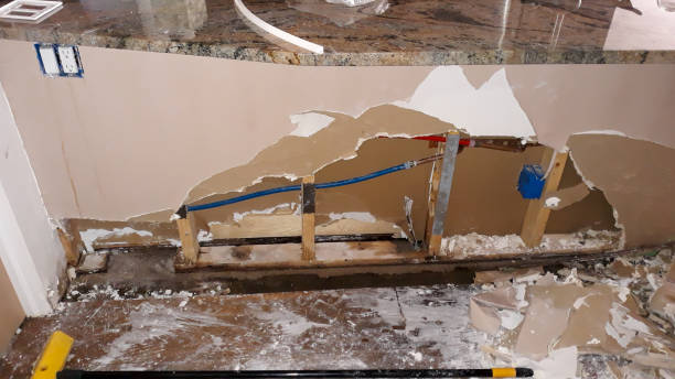 Best Mold removal after water damage  in Greenfield, TN