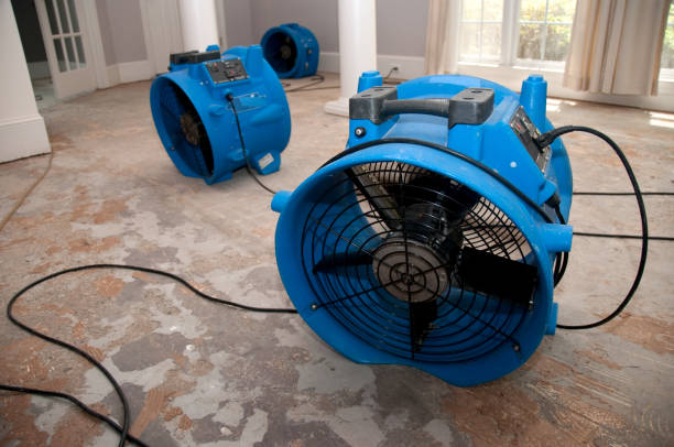 Best Water damage mitigation services  in Greenfield, TN