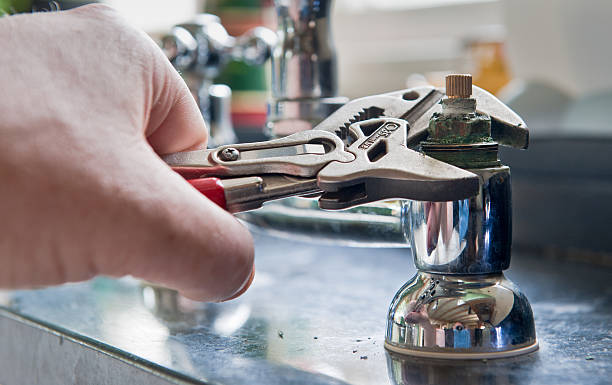Best Water damage restoration mold remediation  in Greenfield, TN