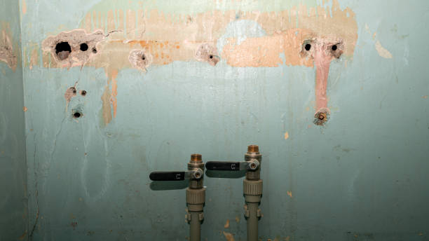 Water damage restoration mold remediation in Greenfield, TN