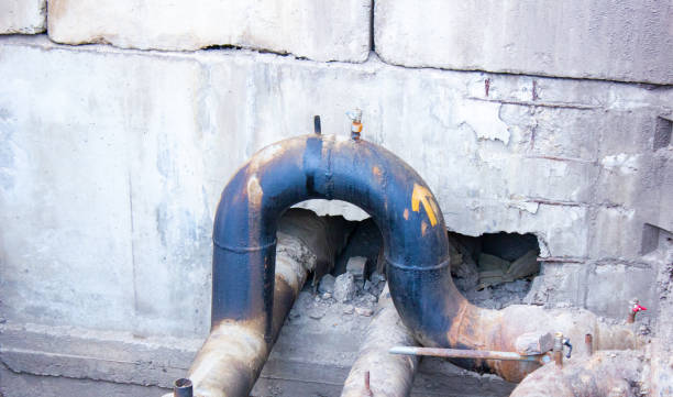 Best Water damage cleanup near me  in Greenfield, TN