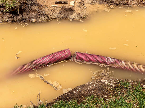 Best Water damage restoration process  in Greenfield, TN