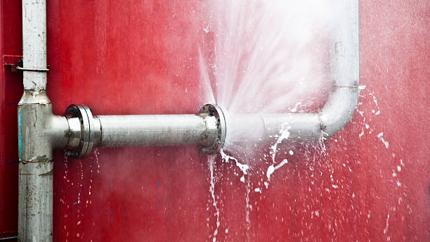 Reliable Greenfield, TN Water damage restoration Solutions